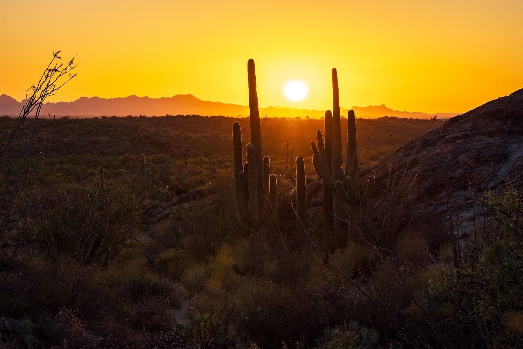 Javelina Rocks, Saguaro National Park East, Tucson, Arizona, USA