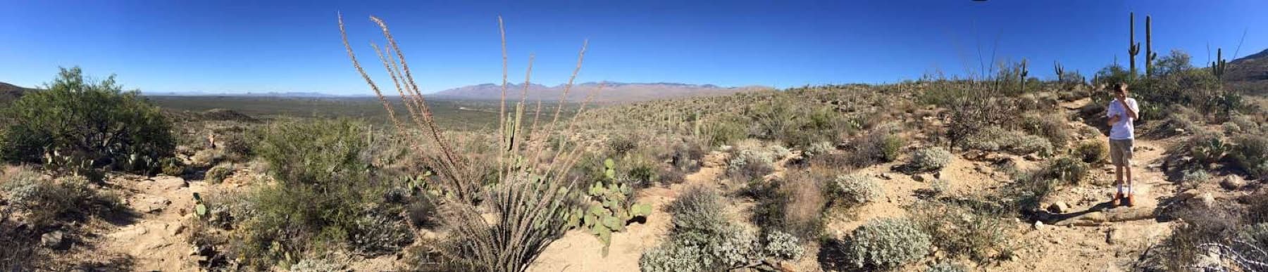 Hiking trail in Sabino Canyon, Tucson, Arizona, United States