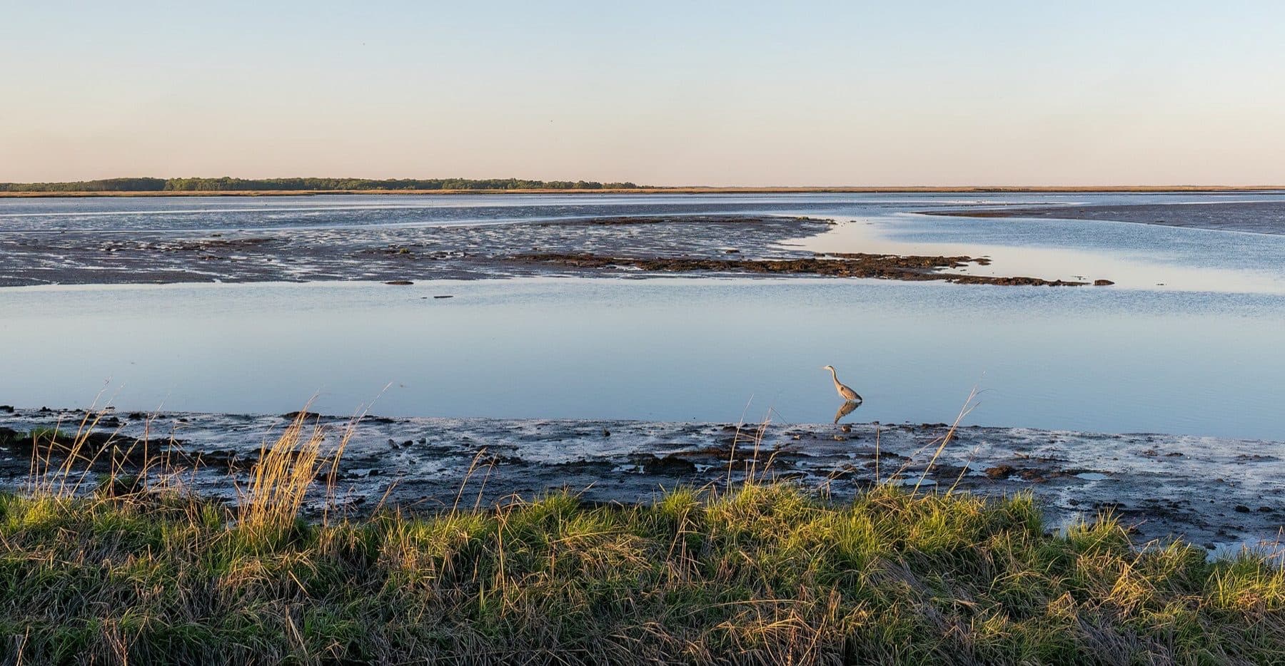 Bombay Hook National Wildlife Refuge