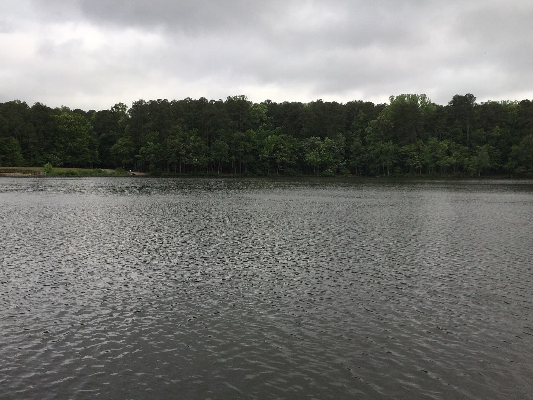 Lake at Carvers Creek State Park, Spring Lake, NC