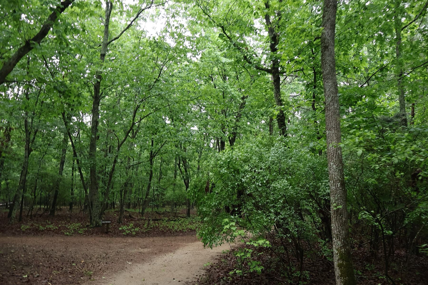 Raven Rock State Park in Harnett County, North Carolina