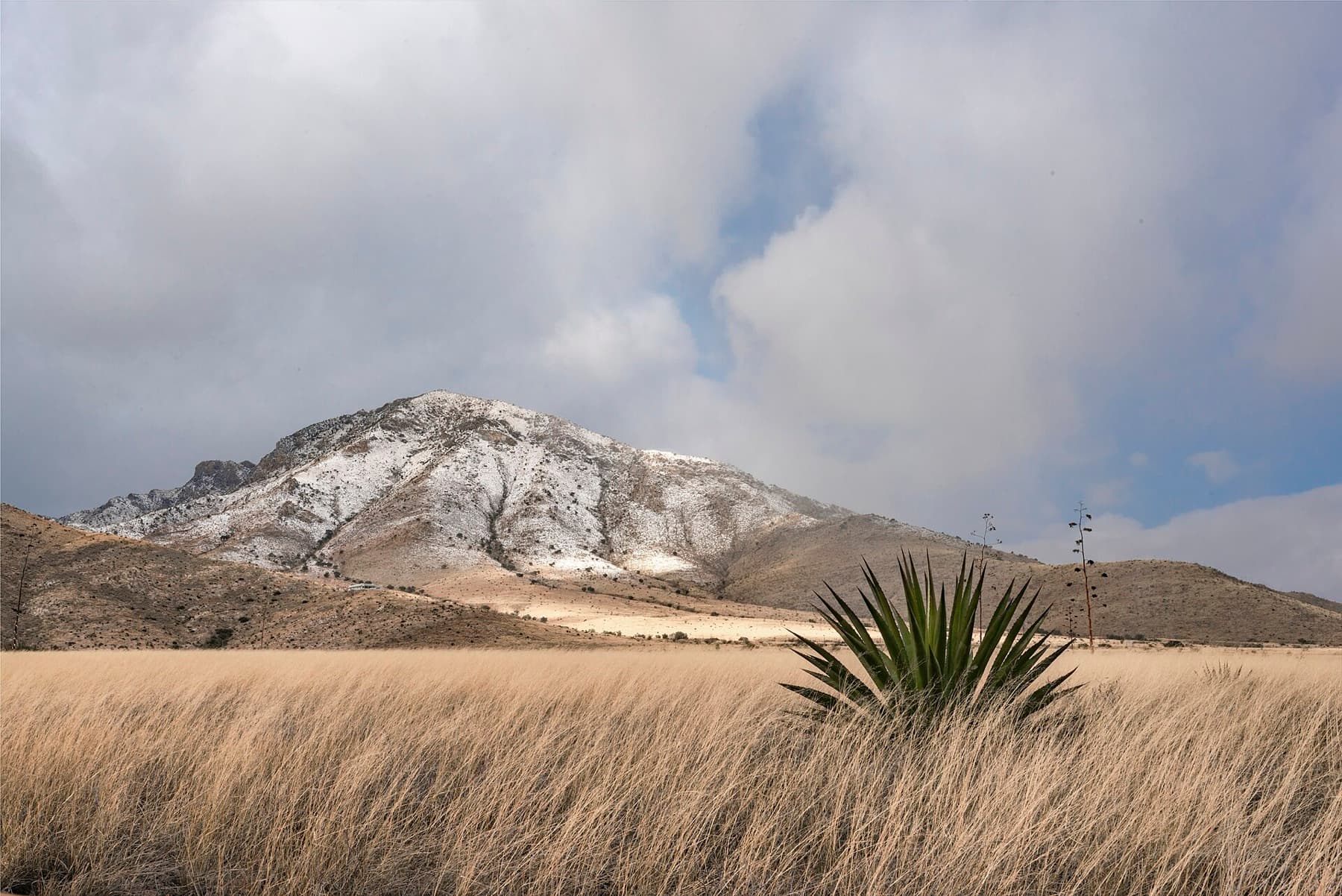 Seen from the entrance to Coronado National Memorial, southern Huachuca Mountains