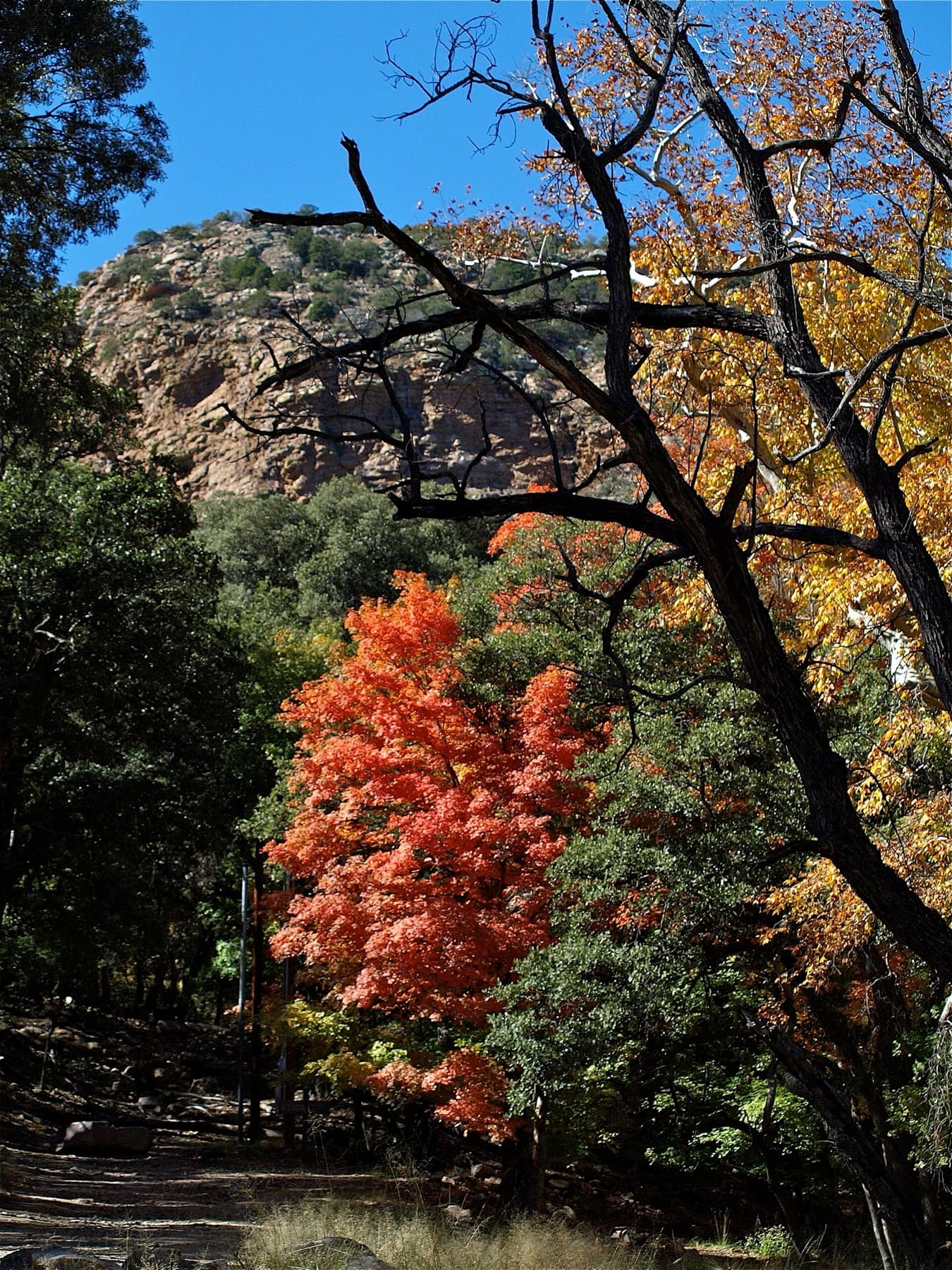 Huachuca Mountains, Arizona