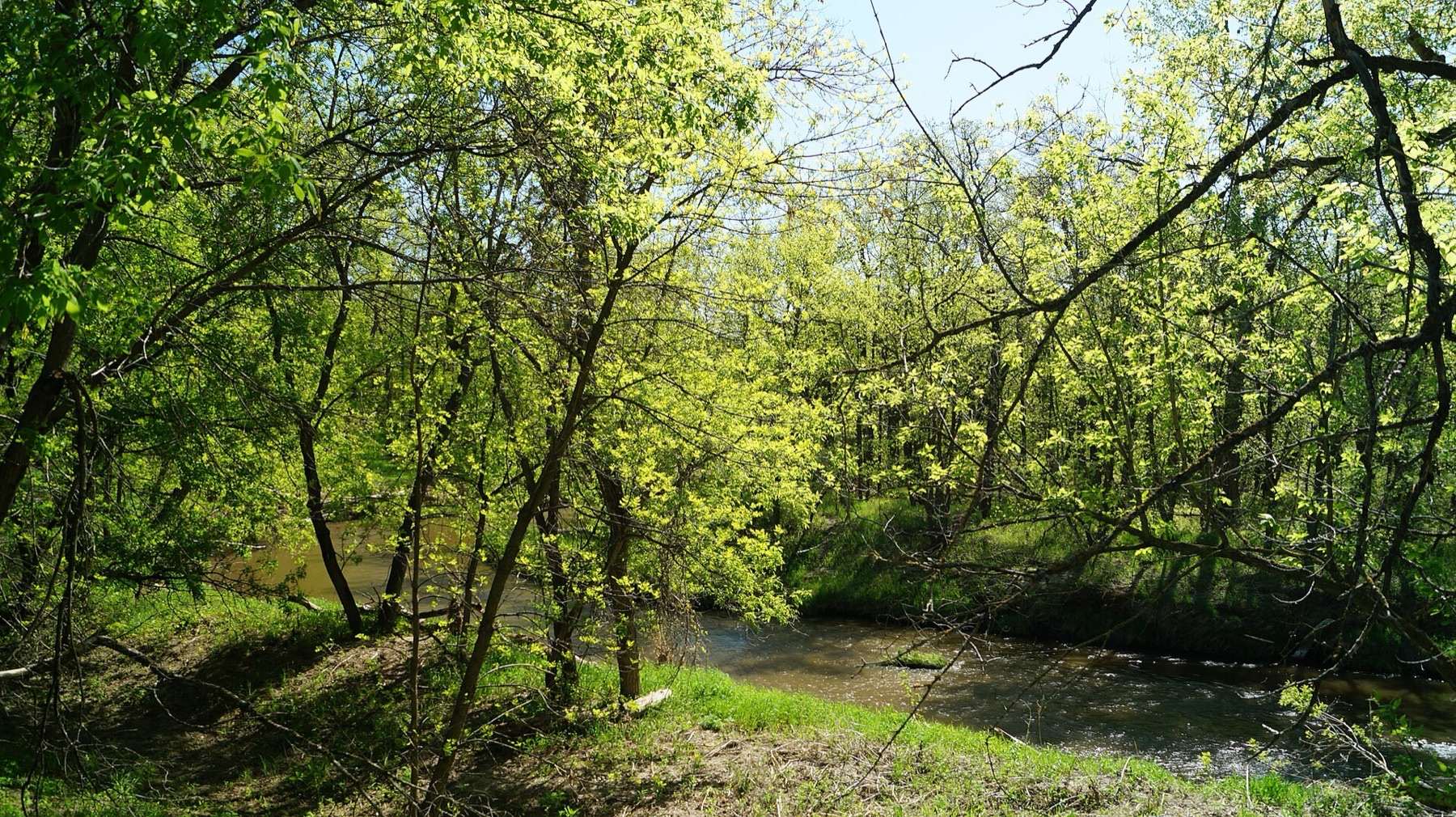 Turtle River State Park