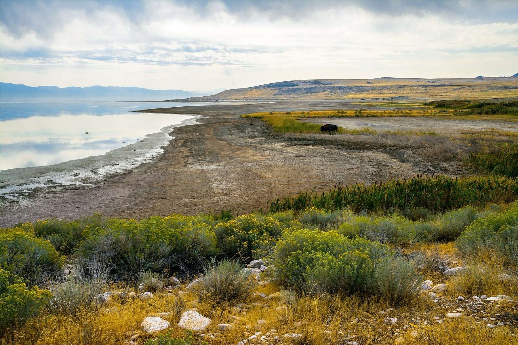 Antelope Island State Park