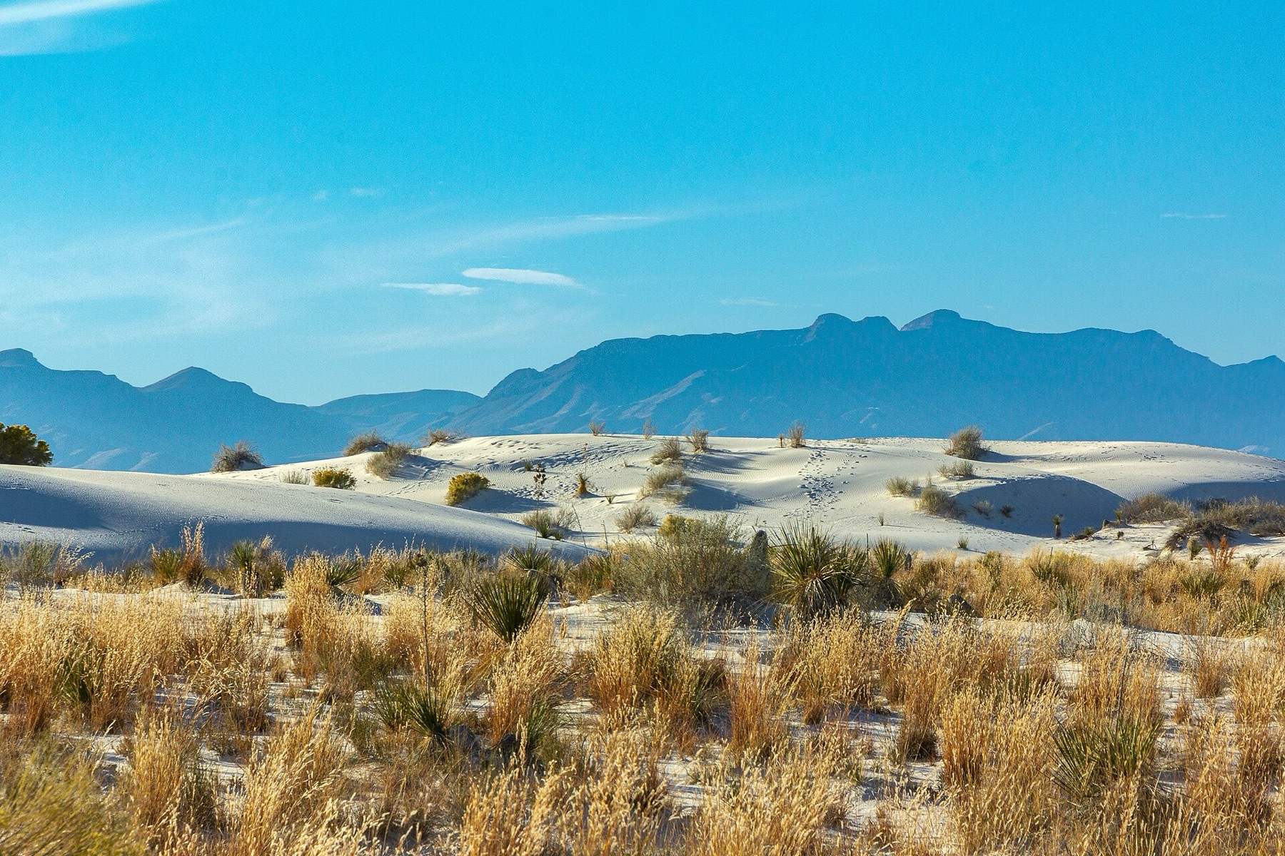 These pictures were taken in White Sands National Park, in New Mexico, last November