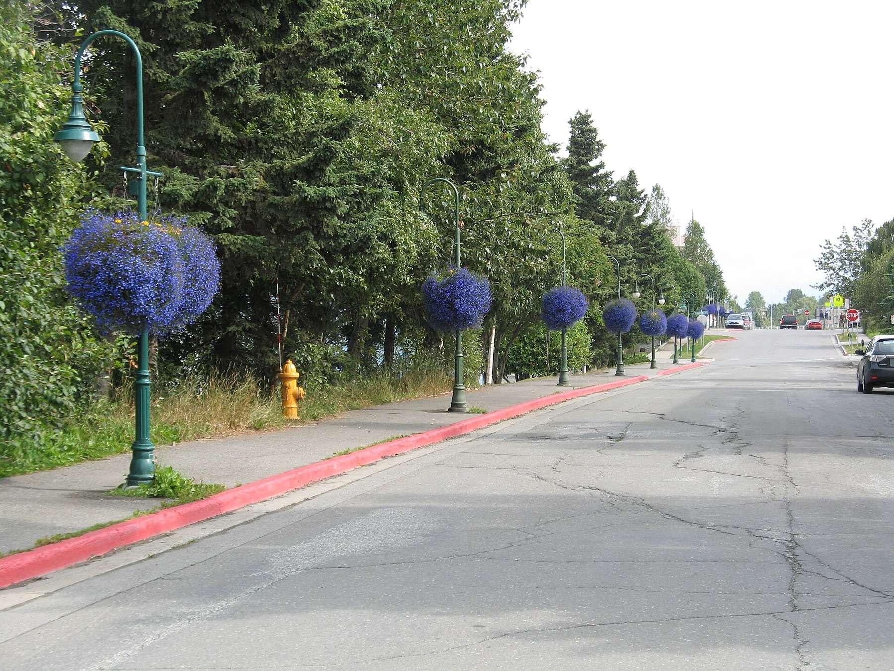 Coastal Trail in Anchorage