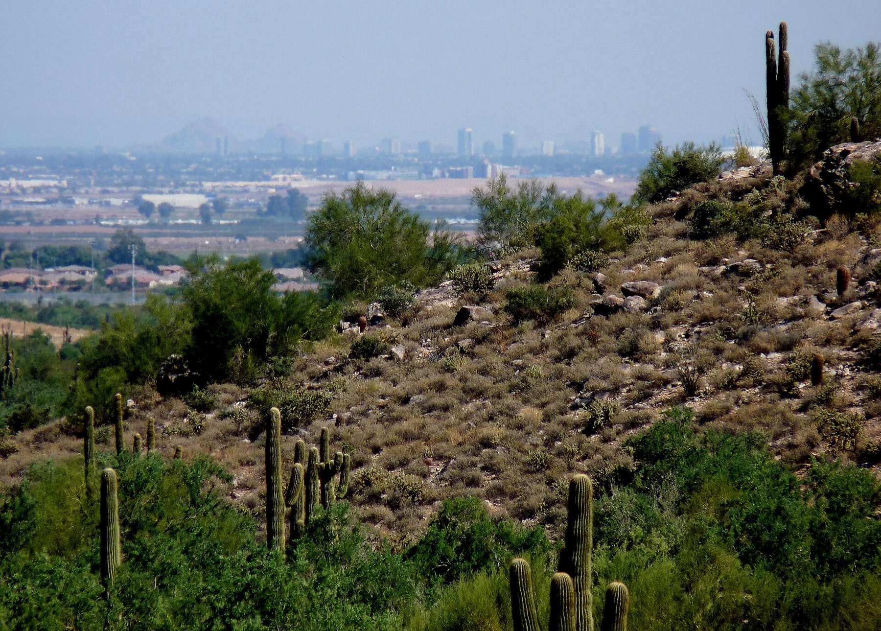 The image shows the downtown of the Metropolitan Phoenix Area photographed from the eastern part of the White Tank Mountains Regional Park