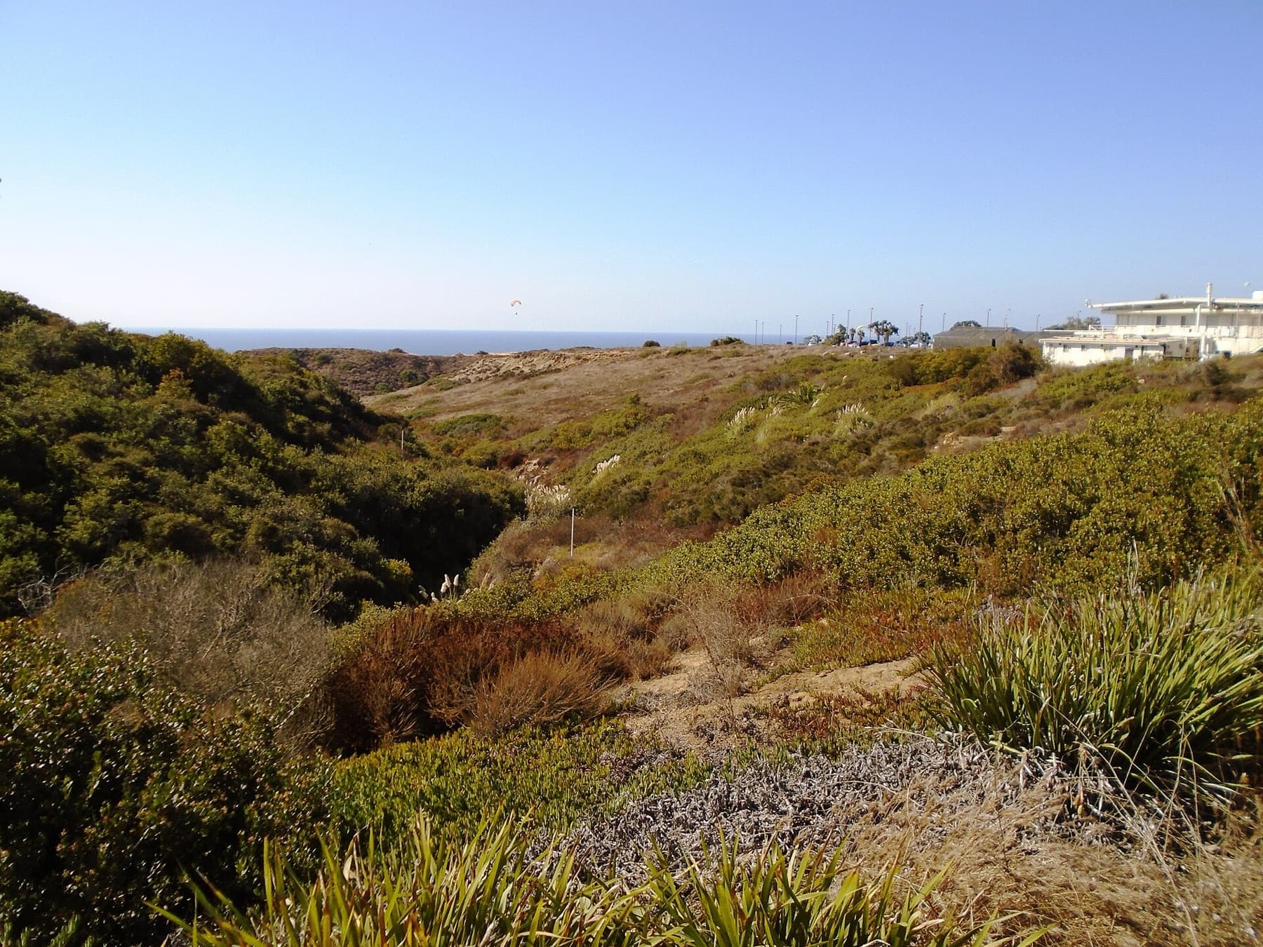 The view west from the Salk Institute in La Jolla, San Diego, California, showing the bluffs of Torrey Pines State Natural Reserve  which overlook Black's Beach