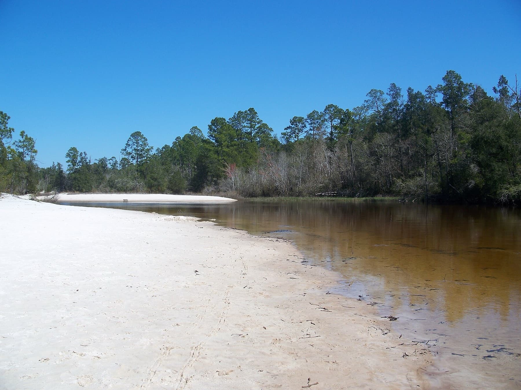 The Blackwater River in Blackwater River State Park