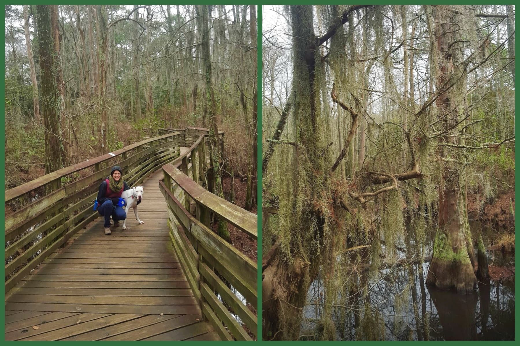 from guest bloggers at First Landing State Park