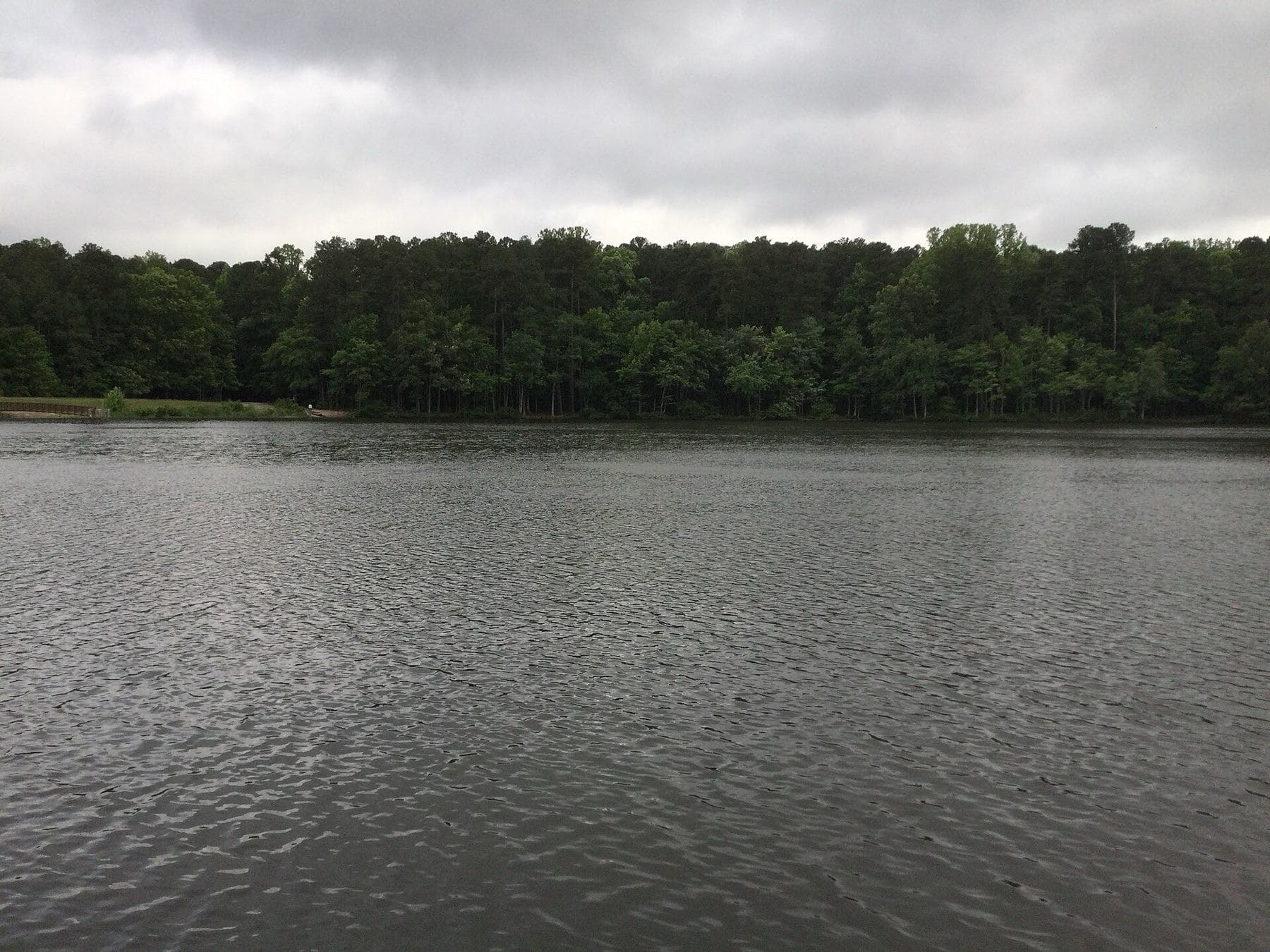 Lake at Carvers Creek State Park, Spring Lake, NC