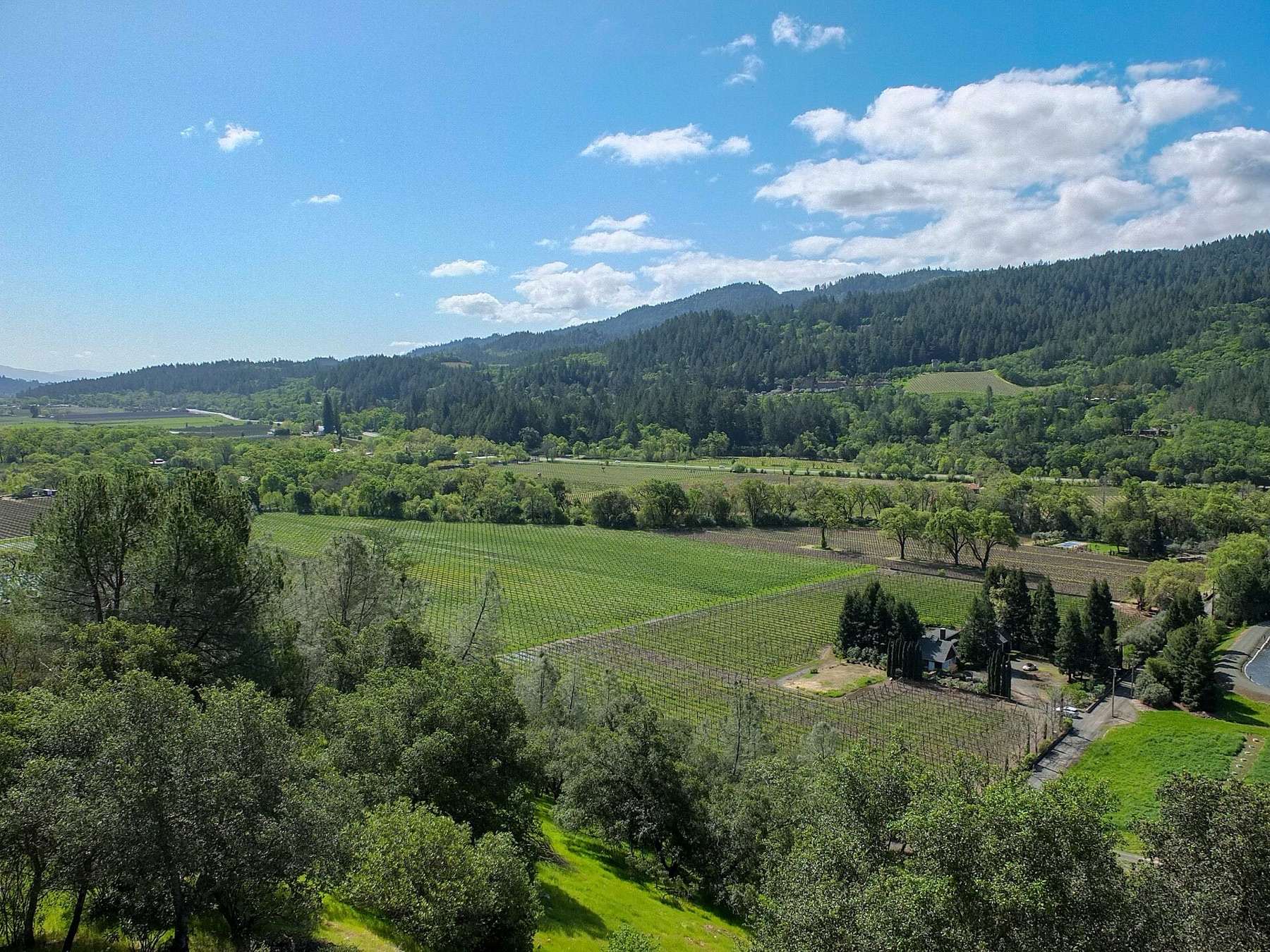 Sterling Vineyards at Napa Valley