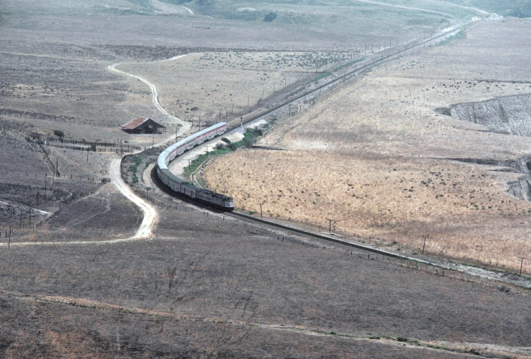 A Roger Puta Photograph